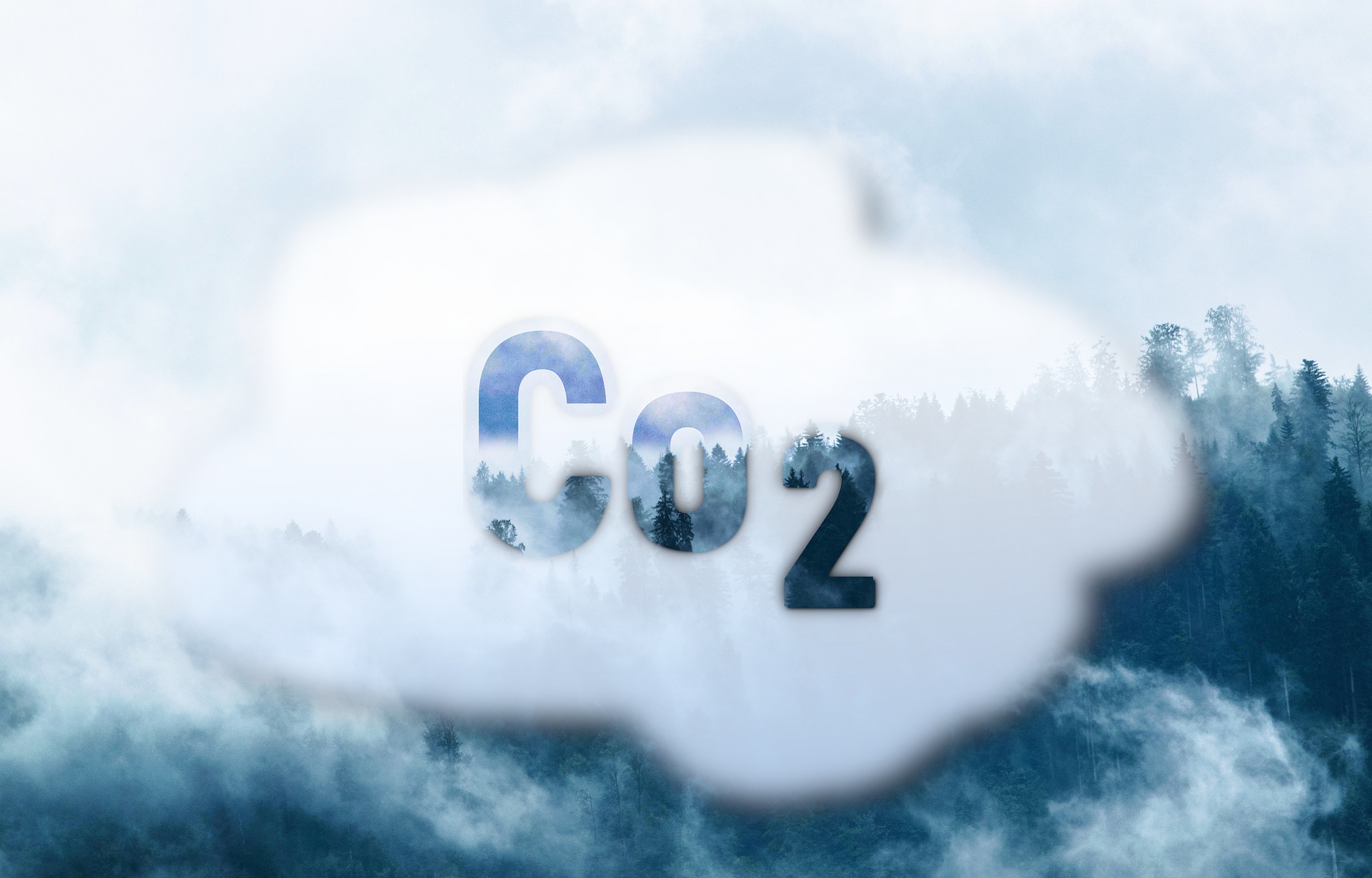 Where does carbon dioxide go?